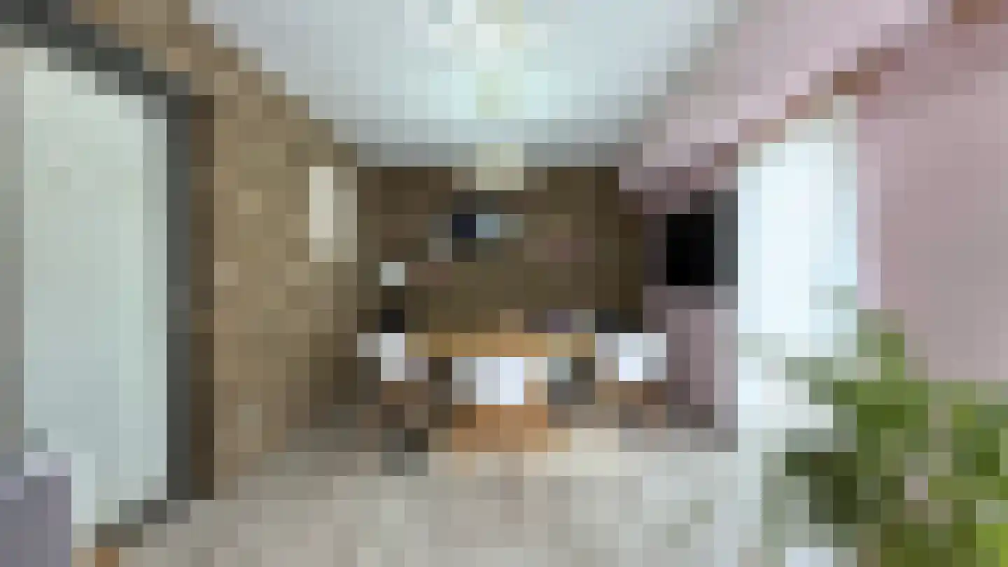 Op de Weerdt 3630 Maasmechelen Elsloo thumbnail 18
