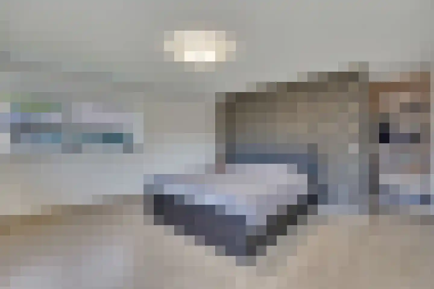 Op de Weerdt 3630 Maasmechelen Elsloo thumbnail 21
