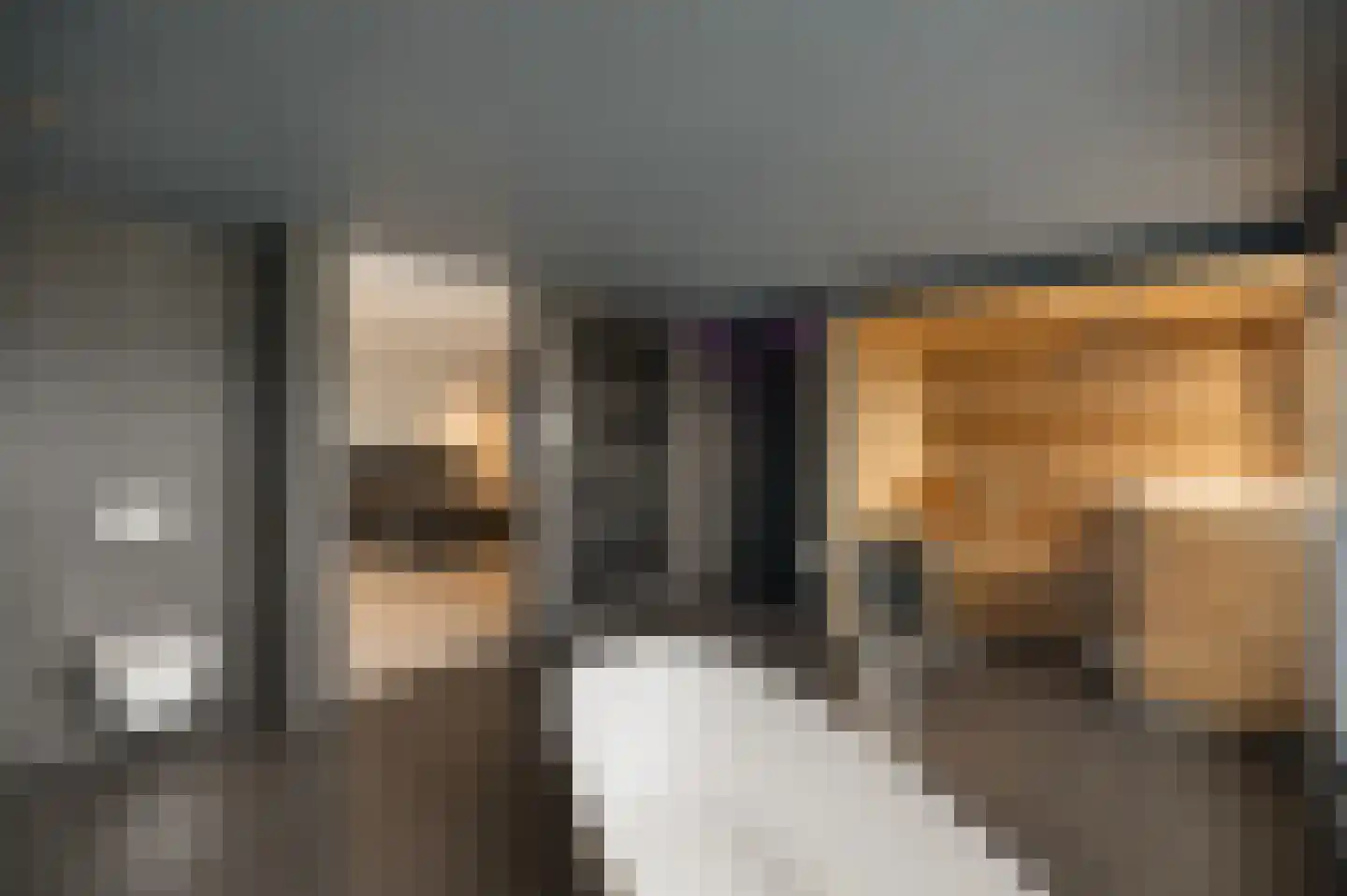 Op de Weerdt 3630 Maasmechelen Elsloo thumbnail 25