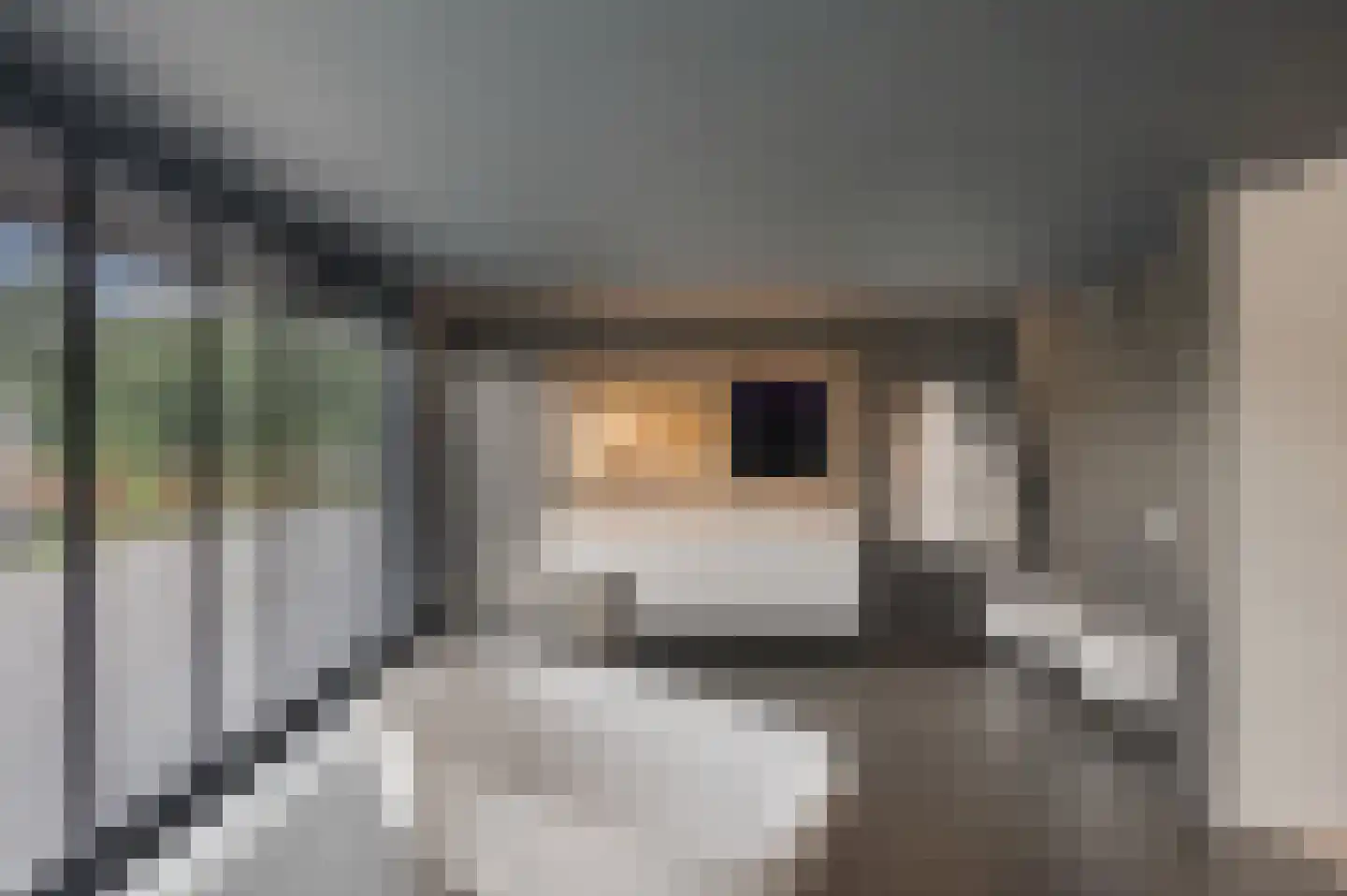 Op de Weerdt 3630 Maasmechelen Elsloo thumbnail 26