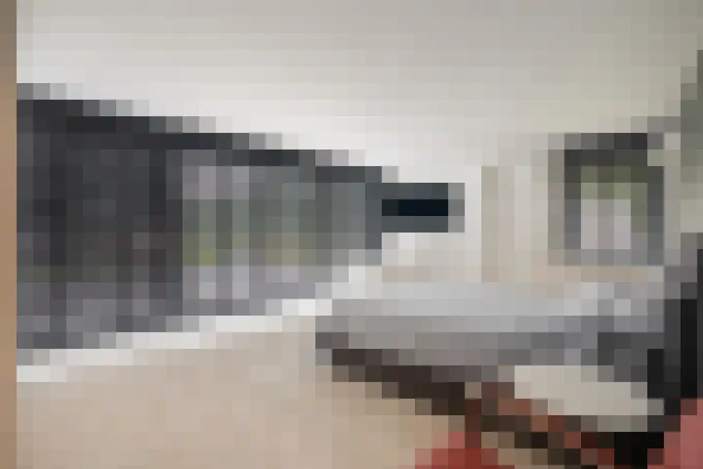 Op de Weerdt 3630 Maasmechelen Elsloo thumbnail 27