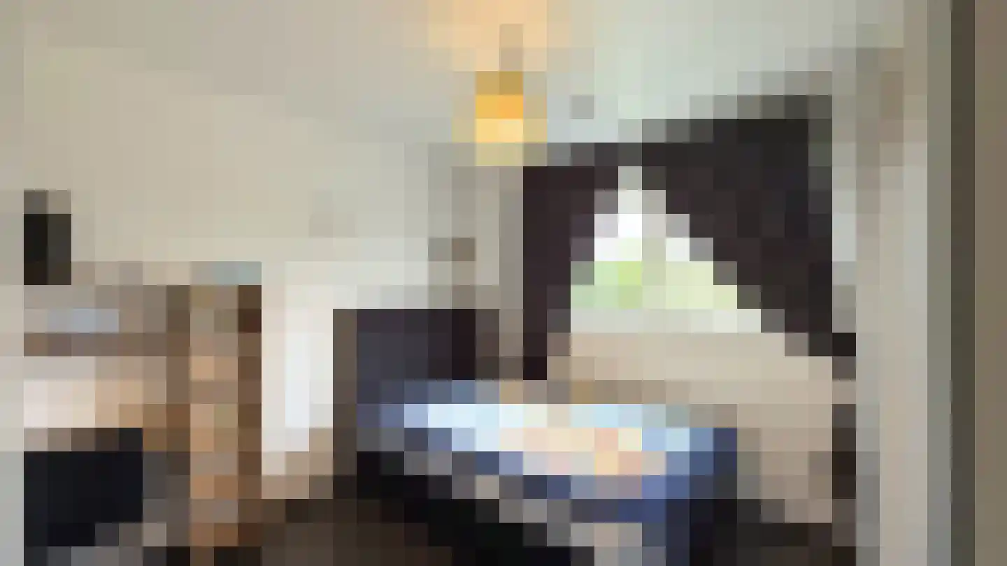 Op de Weerdt 3630 Maasmechelen Elsloo thumbnail 28