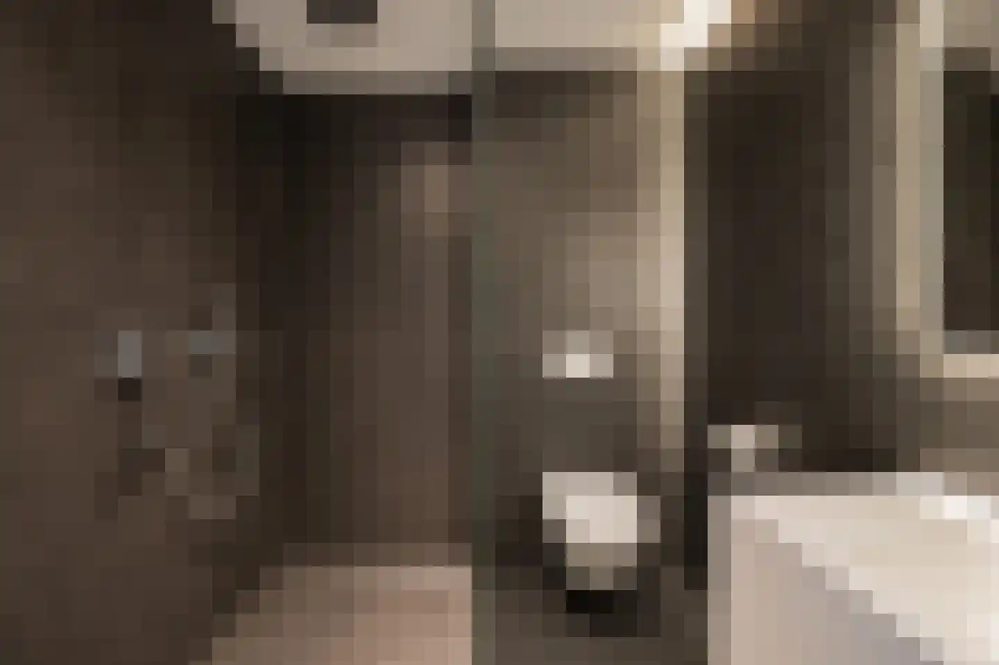 Op de Weerdt 3630 Maasmechelen Elsloo thumbnail 30