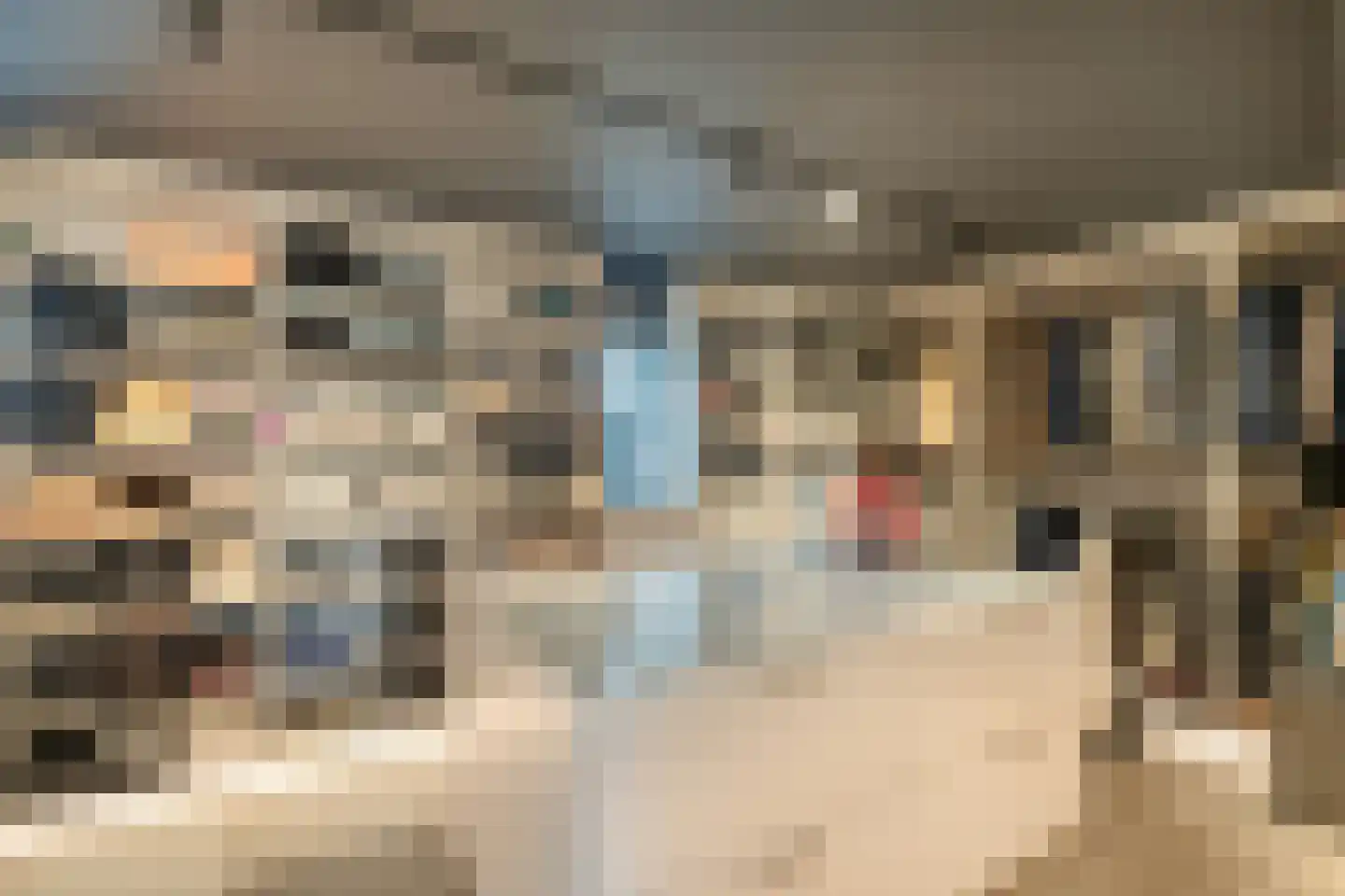 Op de Weerdt 3630 Maasmechelen Elsloo thumbnail 31