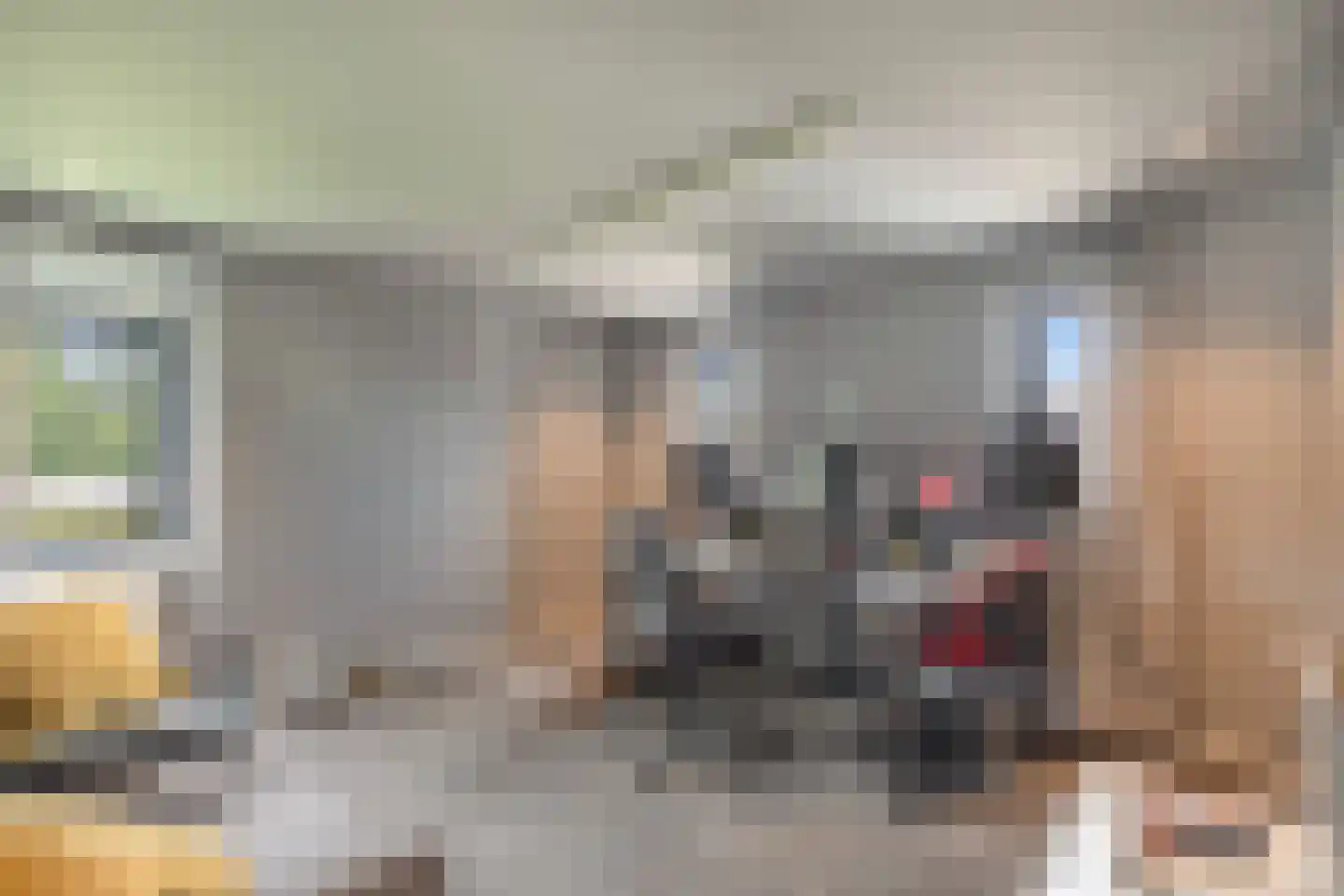 Op de Weerdt 3630 Maasmechelen Elsloo thumbnail 32