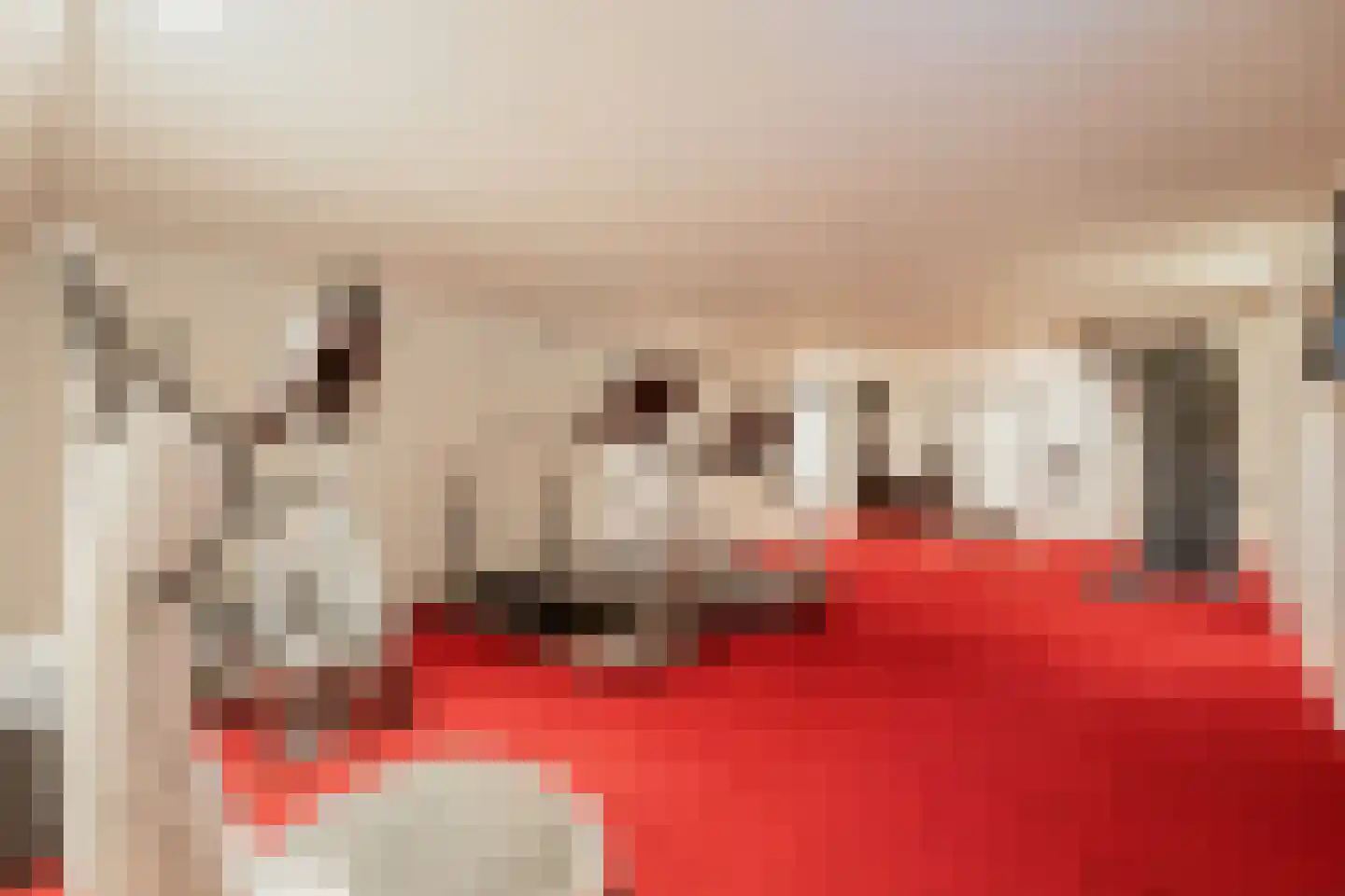 Op de Weerdt 3630 Maasmechelen Elsloo thumbnail 33