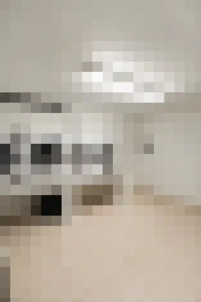 Op de Weerdt 3630 Maasmechelen Elsloo thumbnail 34