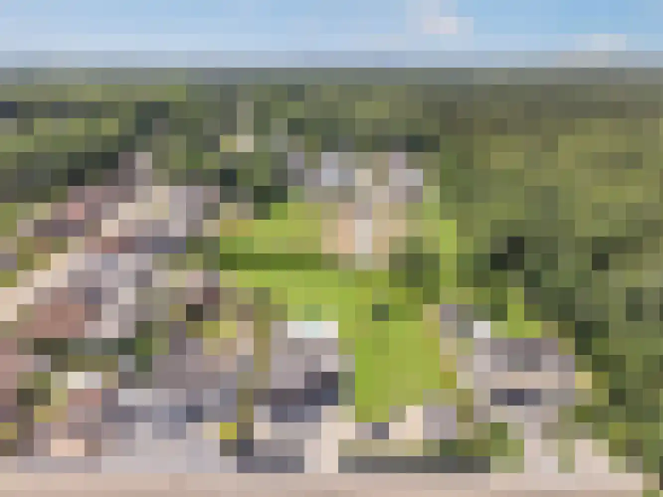 Op de Weerdt 3630 Maasmechelen Elsloo thumbnail 38