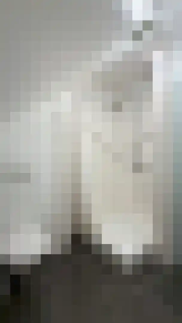 Op de Weerdt 3630 Maasmechelen Elsloo thumbnail 38