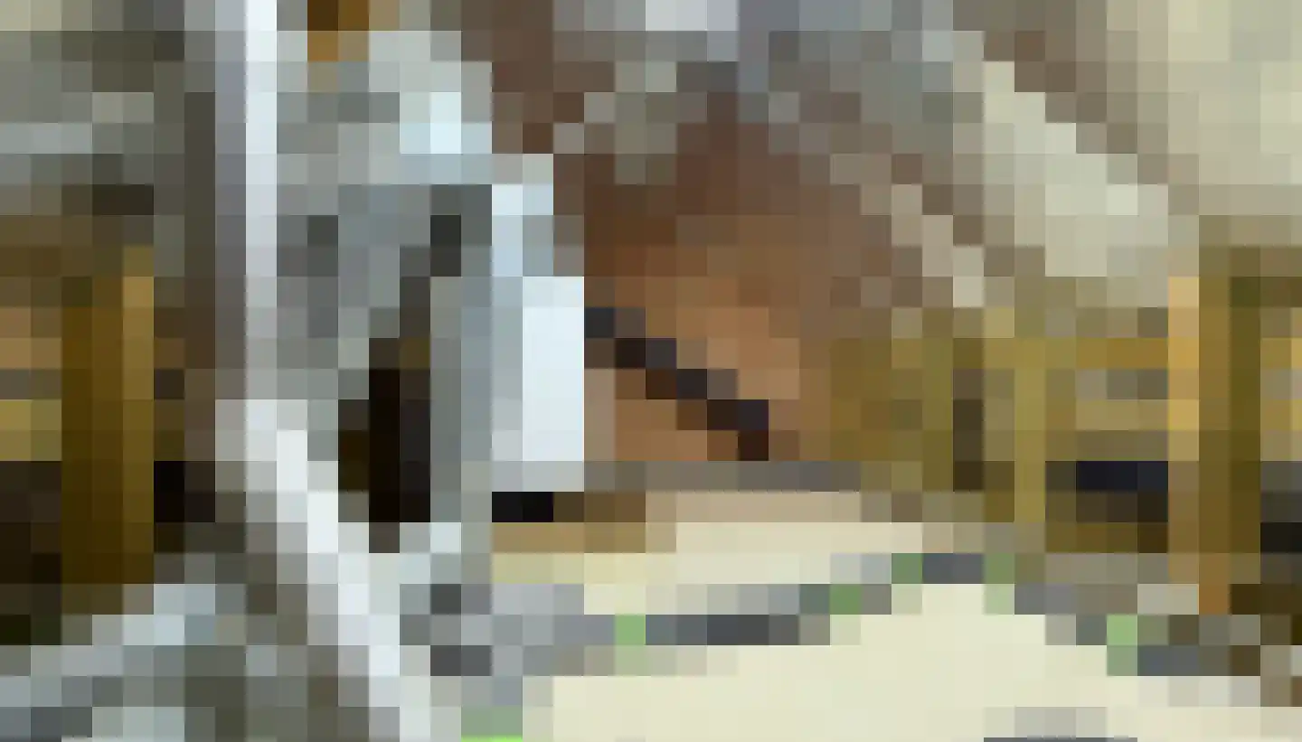 Op de Weerdt 3630 Maasmechelen Elsloo thumbnail 40