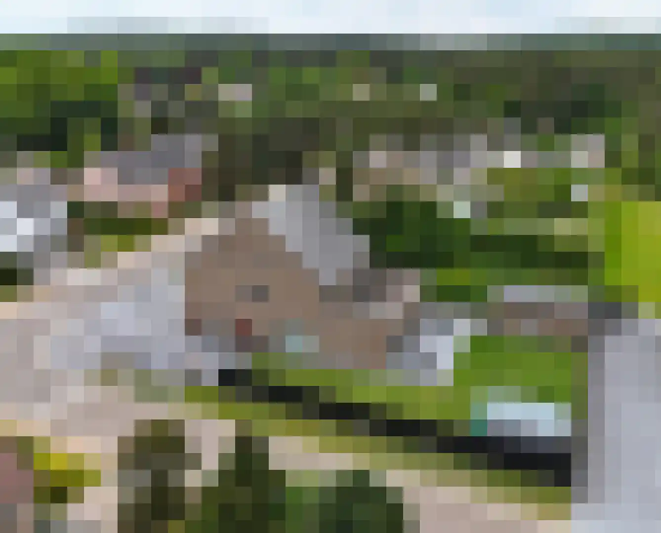Op de Weerdt 3630 Maasmechelen Elsloo thumbnail 44