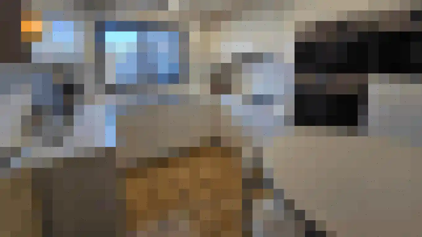 Op de Weerdt 3630 Maasmechelen Elsloo thumbnail 5