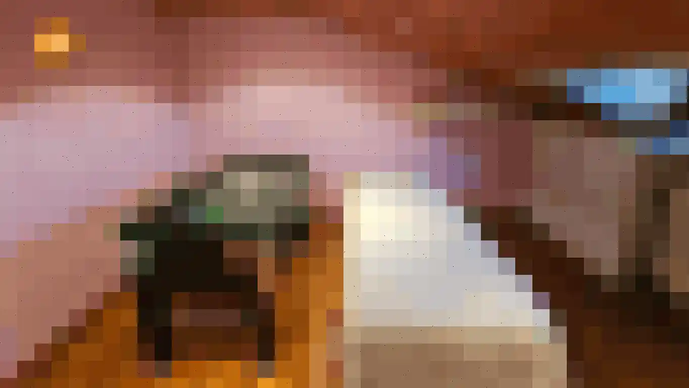 Op de Weerdt 3630 Maasmechelen Elsloo thumbnail 7