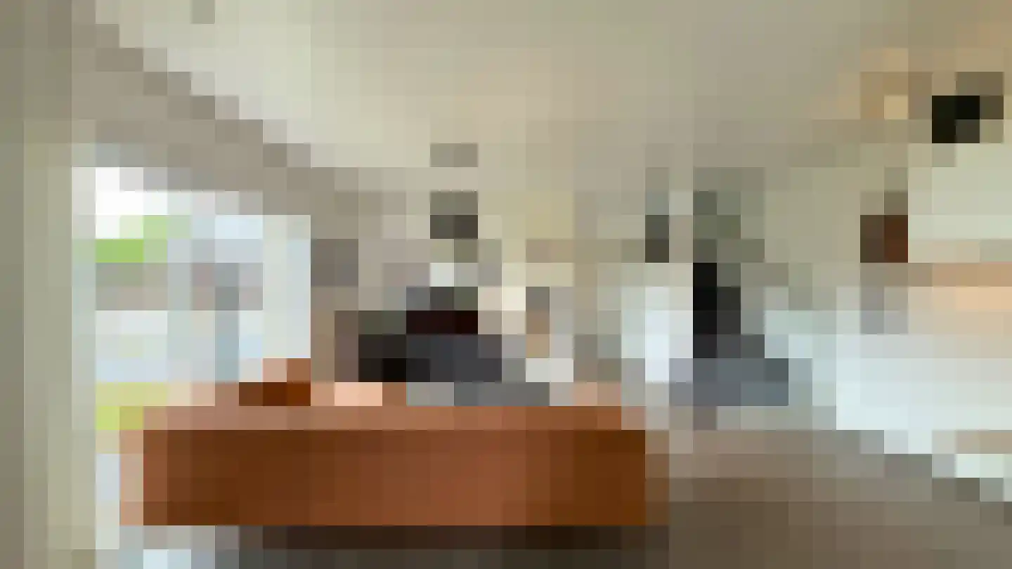 Op de Weerdt 3630 Maasmechelen Elsloo thumbnail 7