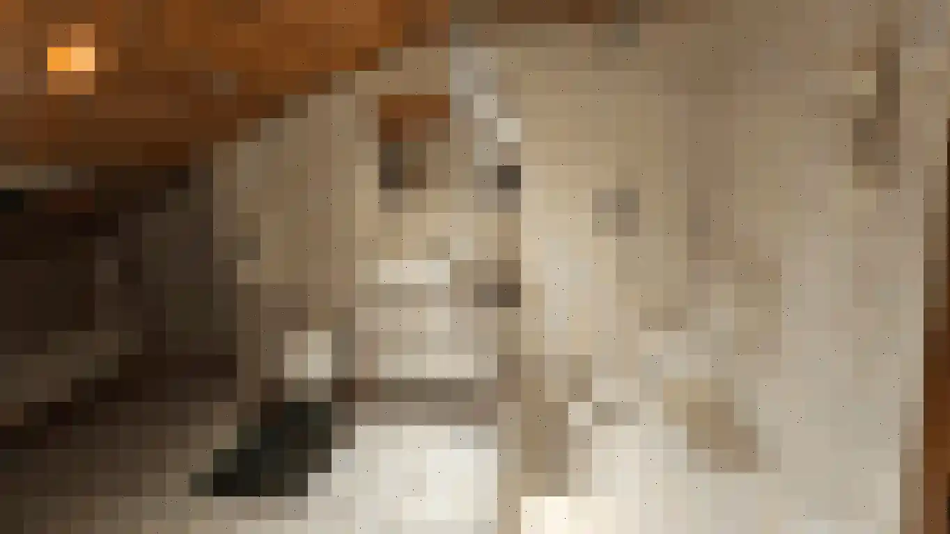 Op de Weerdt 3630 Maasmechelen Elsloo thumbnail 8