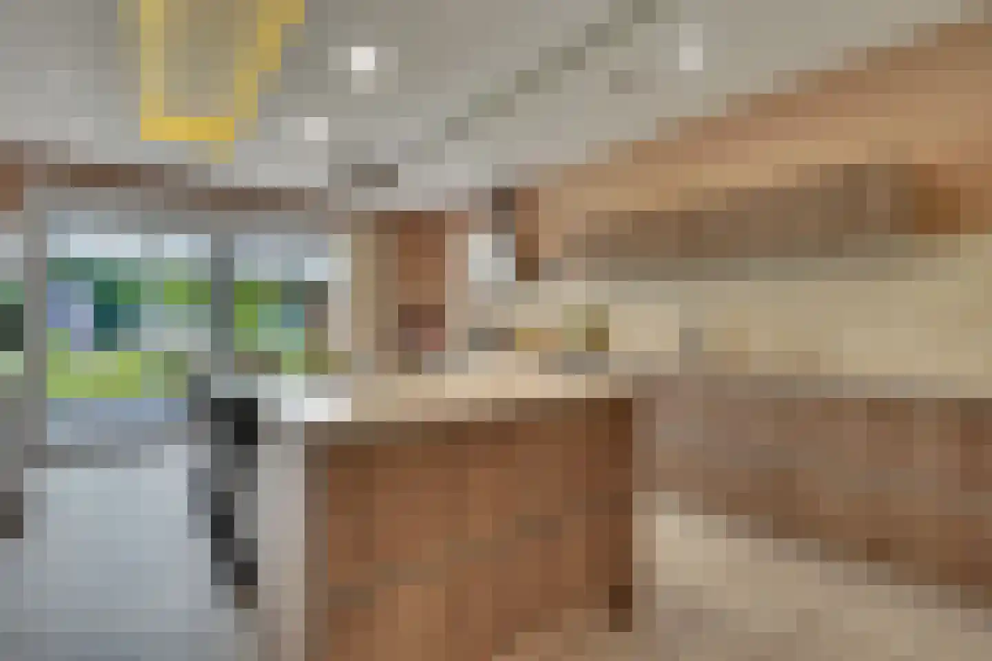 Op de Weerdt 3630 Maasmechelen Elsloo thumbnail 8