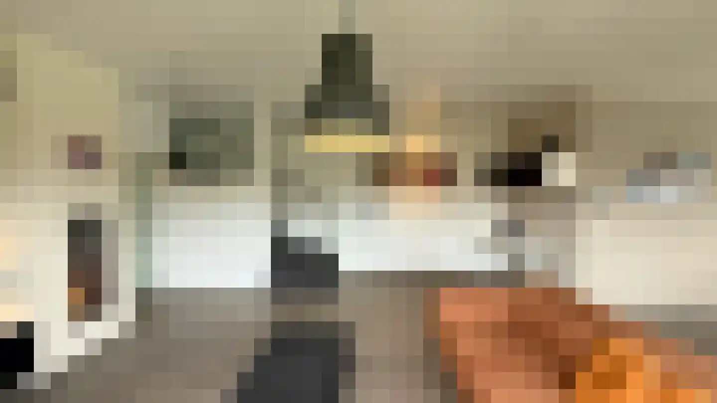 Op de Weerdt 3630 Maasmechelen Elsloo thumbnail 9