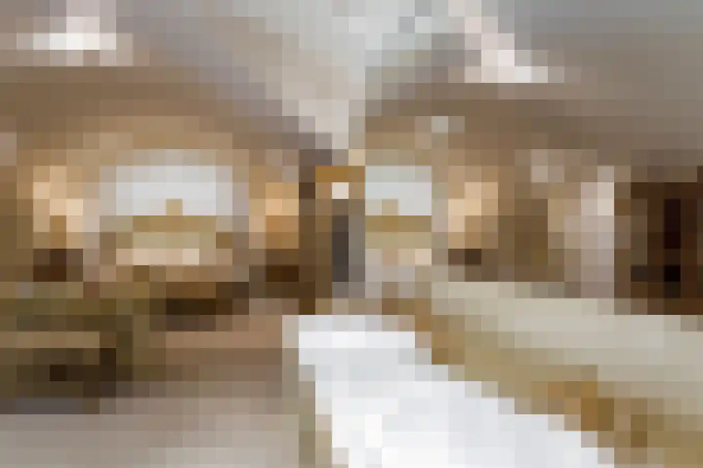 Op de Weerdt 479 Elsloo thumbnail 11