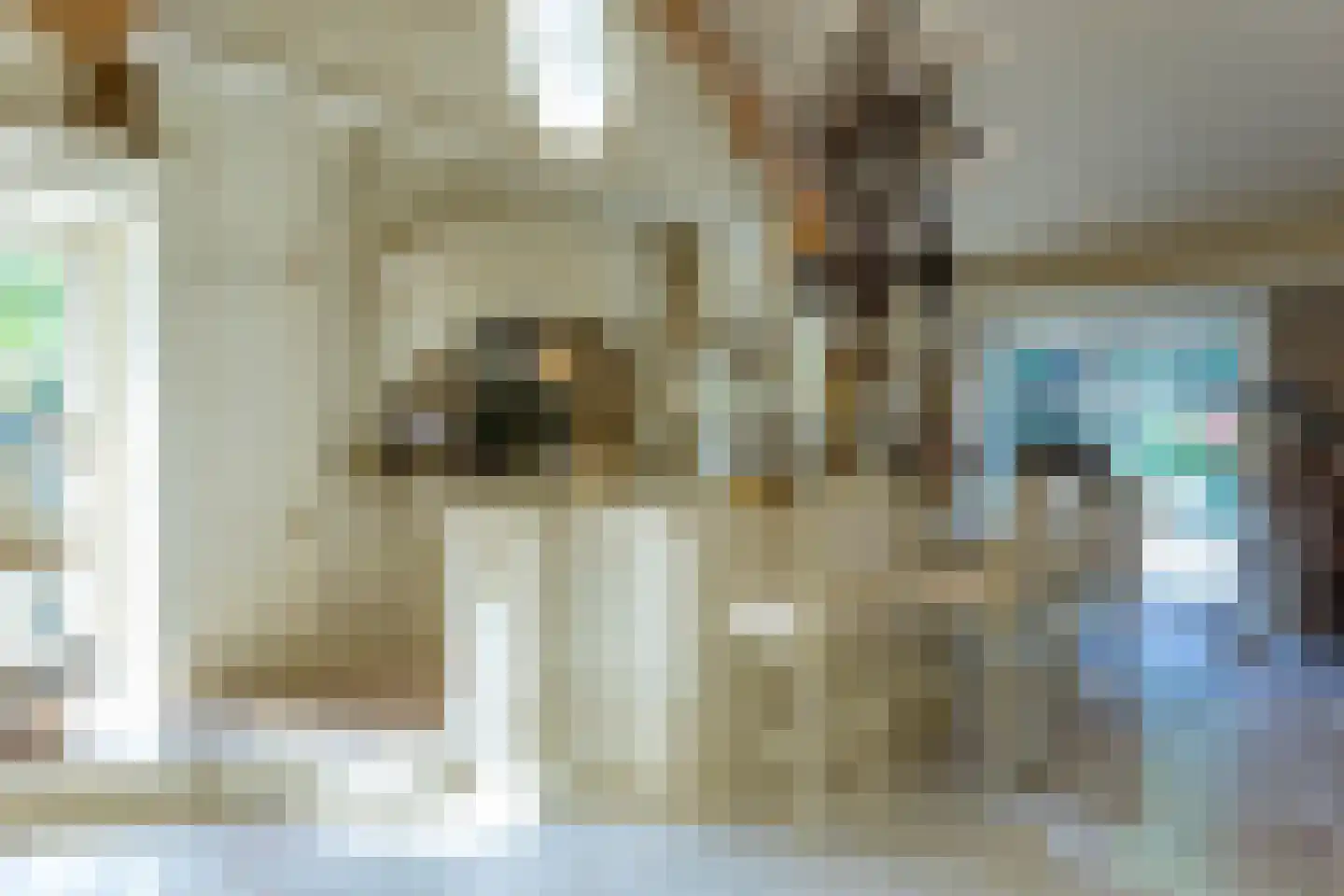 Op de Weerdt 479 Elsloo thumbnail 13