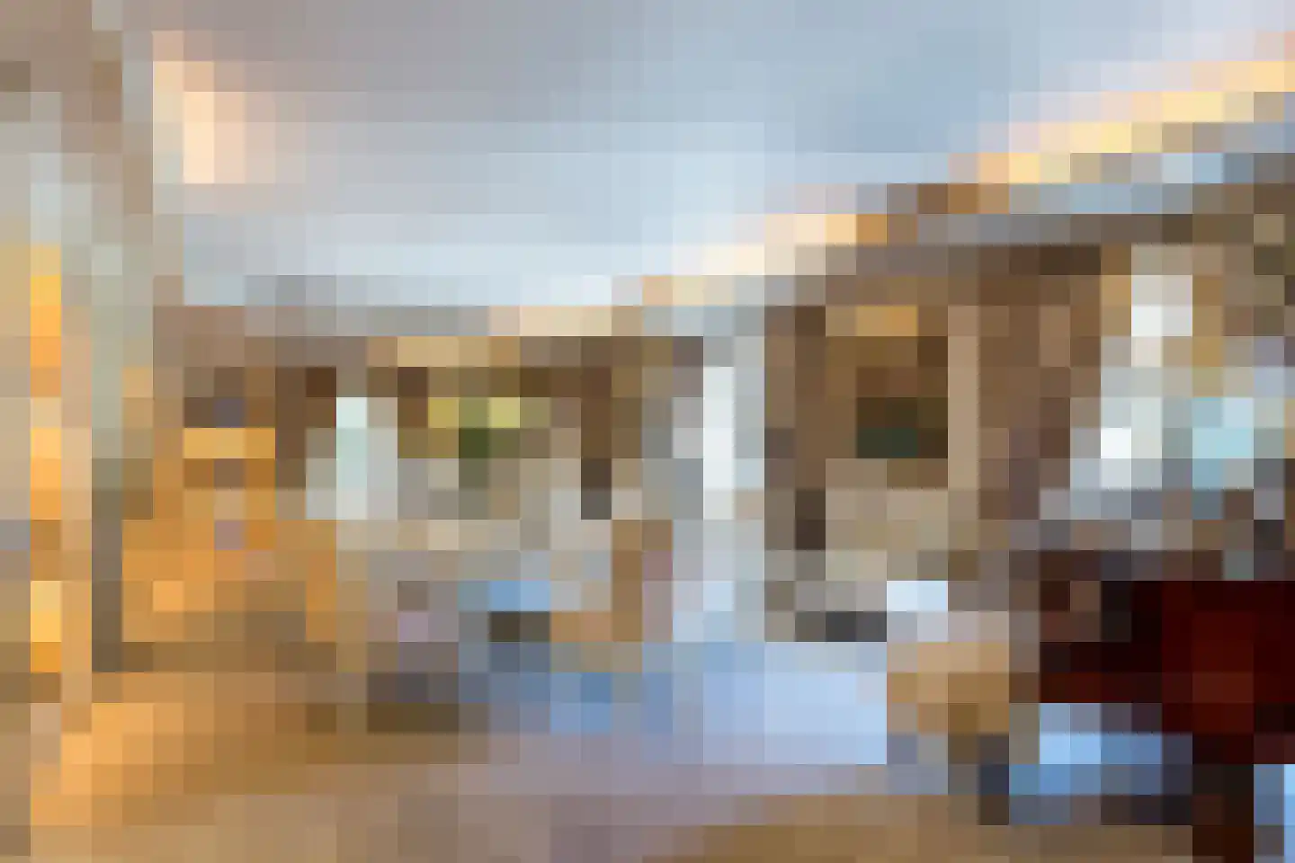 Op de Weerdt 479 Elsloo thumbnail 14