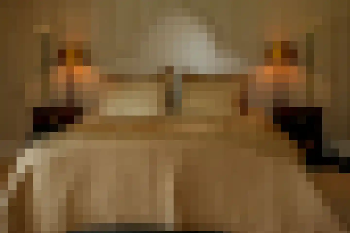 Op de Weerdt 479 Elsloo thumbnail 18