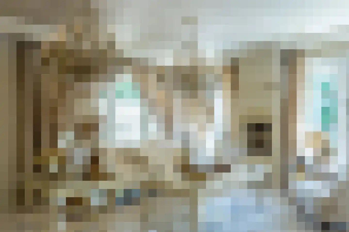 Op de Weerdt 479 Elsloo thumbnail 20