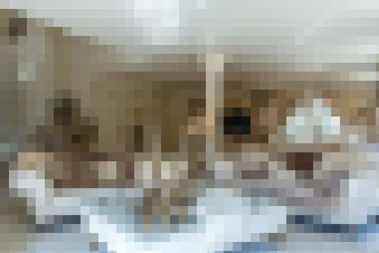 Op de Weerdt 479 Elsloo thumbnail 26