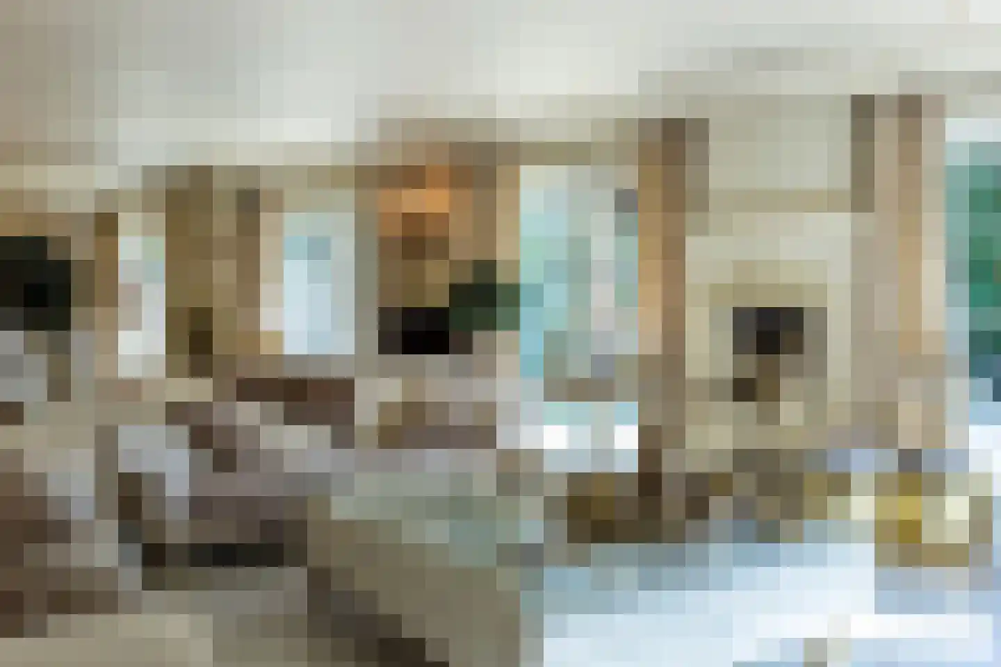 Op de Weerdt 479 Elsloo thumbnail 27