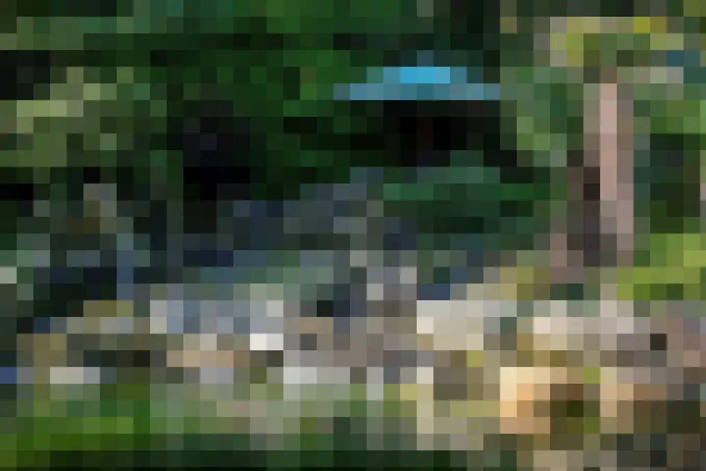 Op de Weerdt 479 Elsloo thumbnail 29