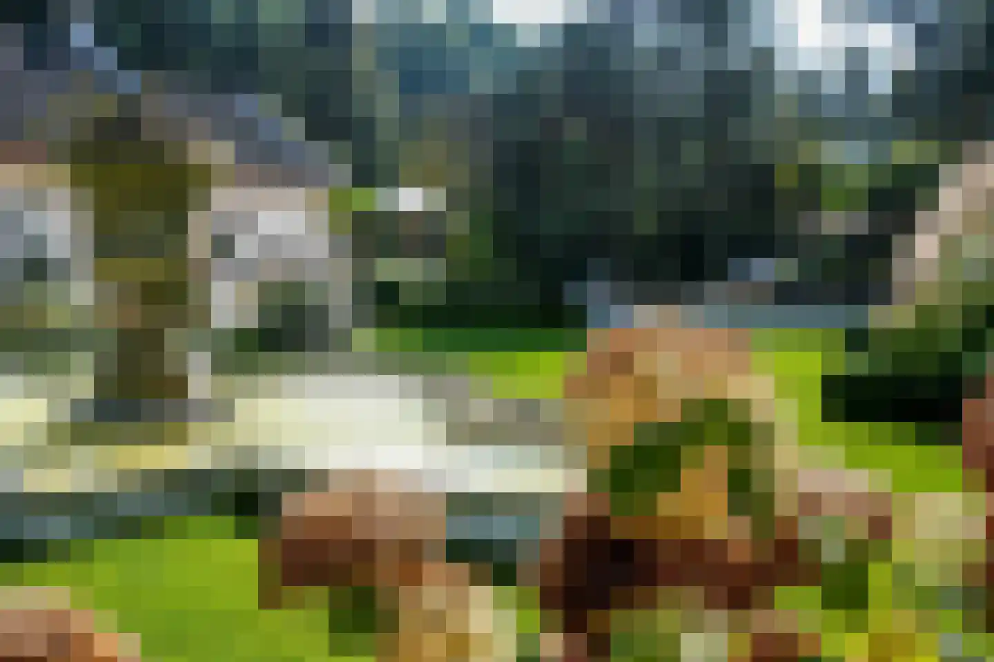 Op de Weerdt 479 Elsloo foto 3