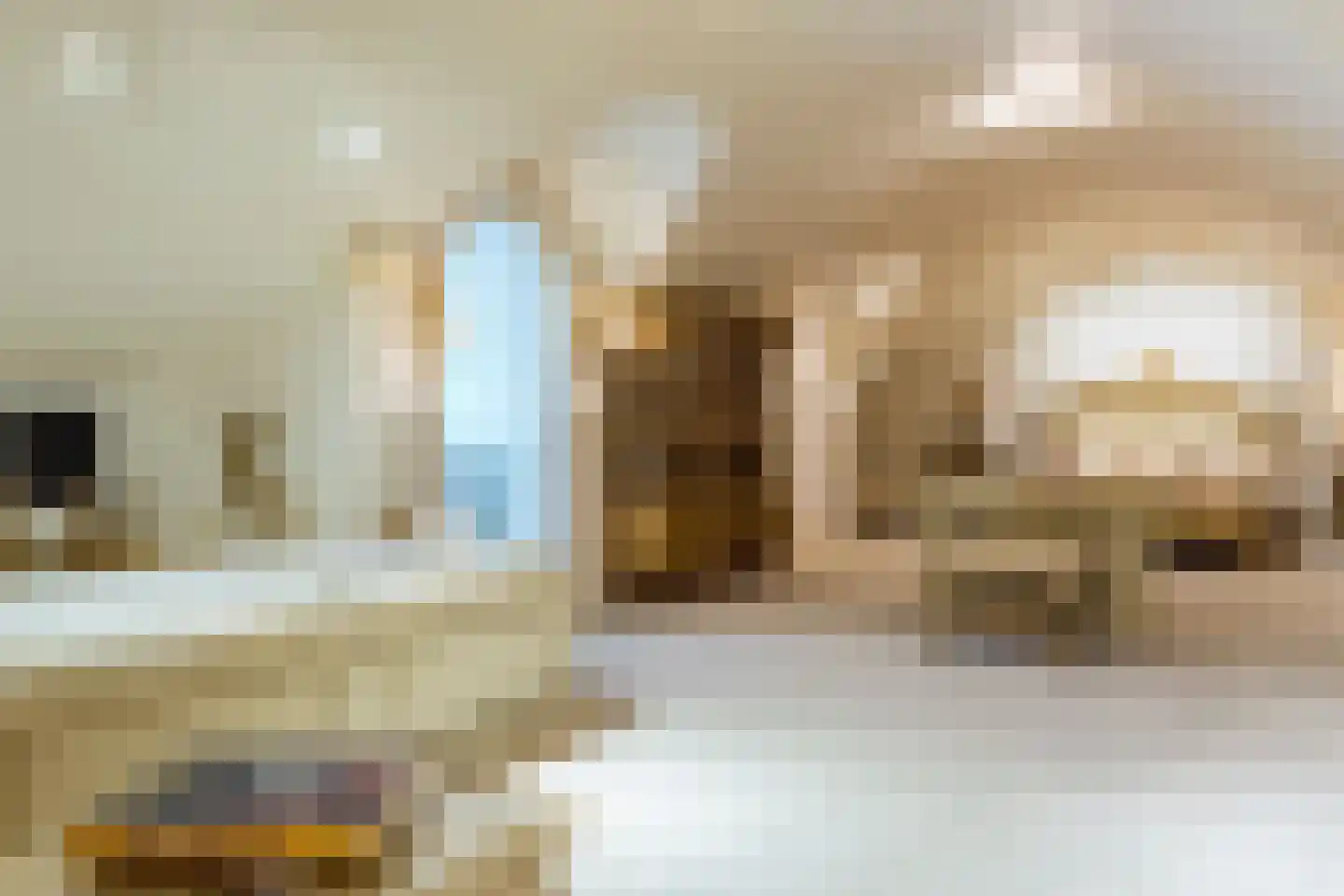 Op de Weerdt 479 Elsloo thumbnail 5