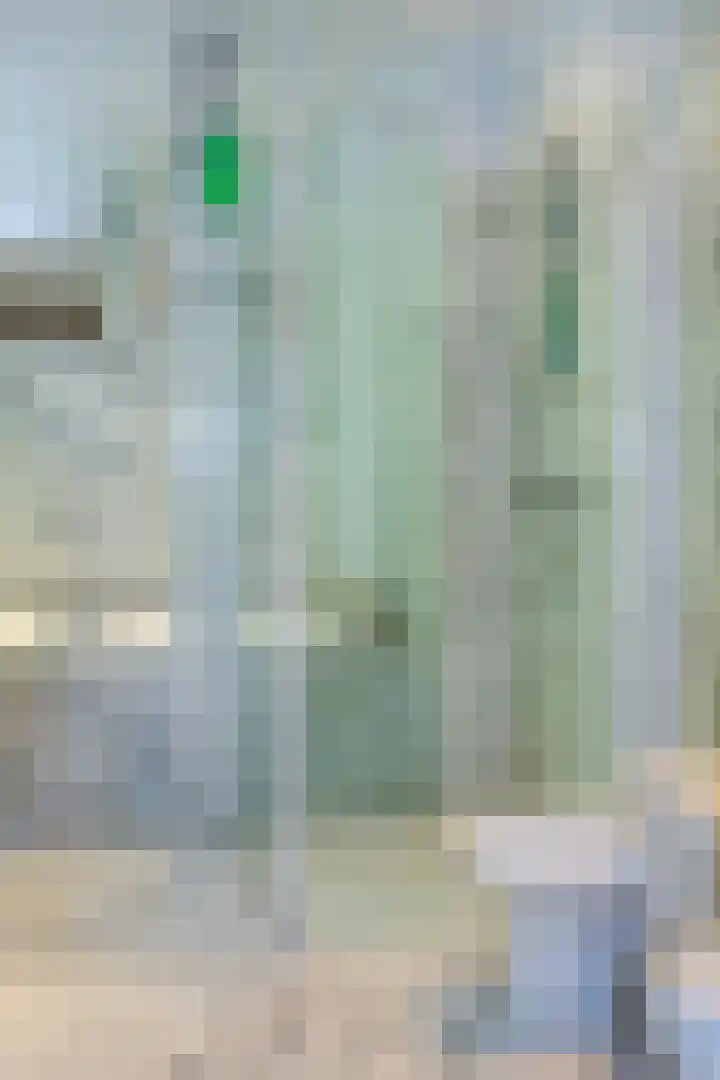 Op de Weerdt 479 Elsloo thumbnail 6