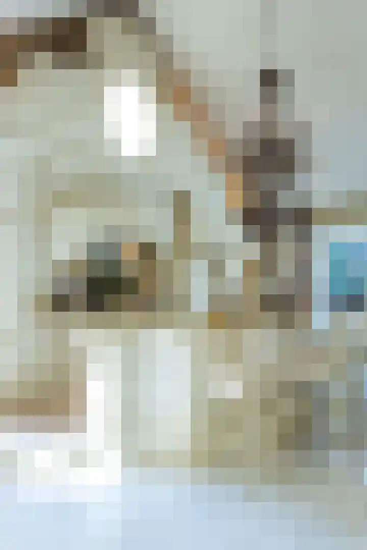 Op de Weerdt 479 Elsloo thumbnail 7