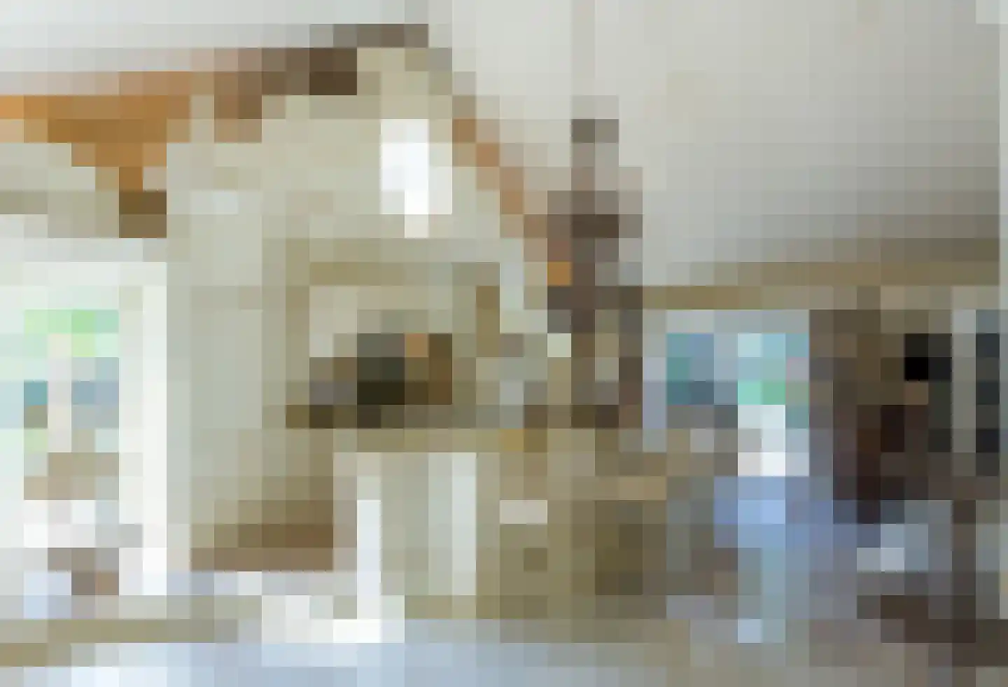 Op de Weerdt 479 Elsloo thumbnail 8