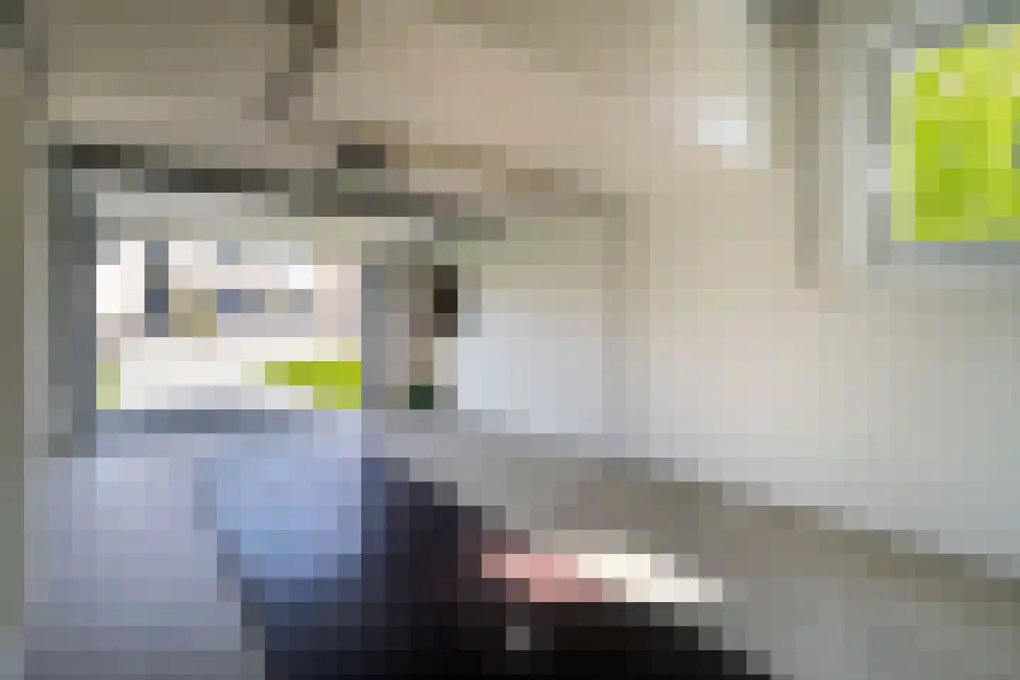 Op de Weerdt 55 Elsloo thumbnail 13