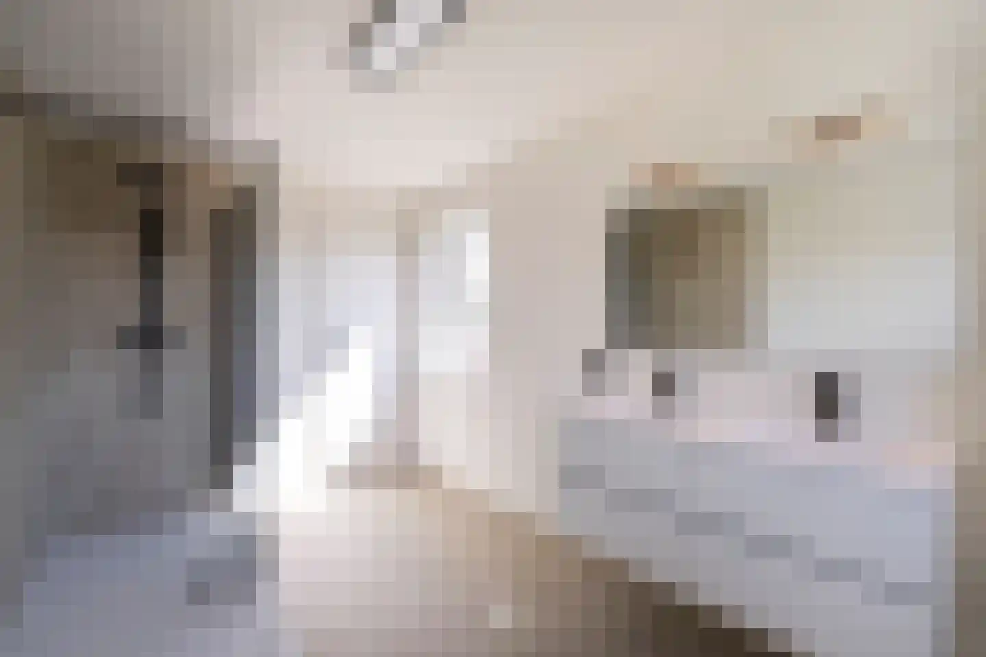 Op de Weerdt 55 Elsloo thumbnail 8