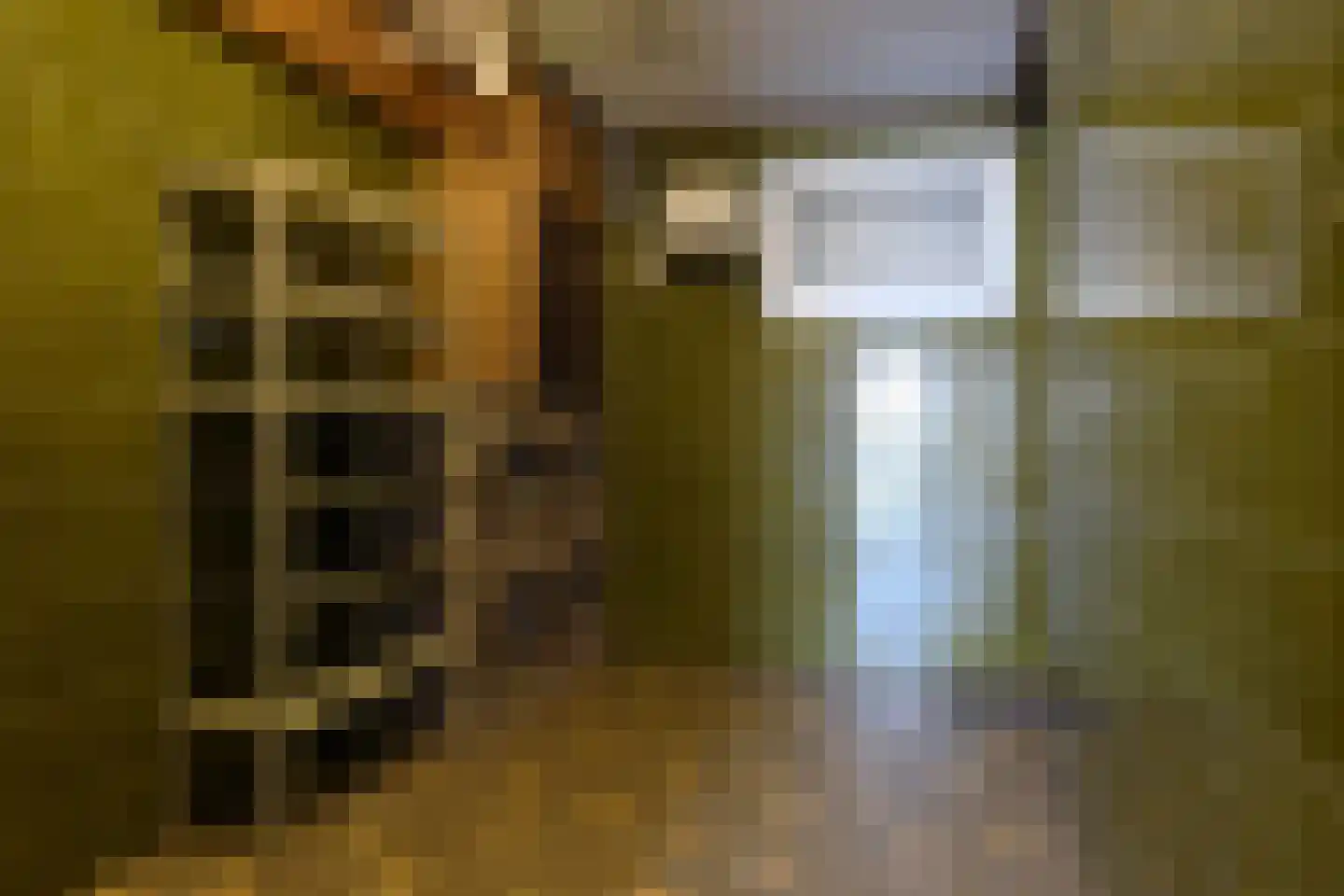 Op de Weijer 13 Bocholtz thumbnail 22