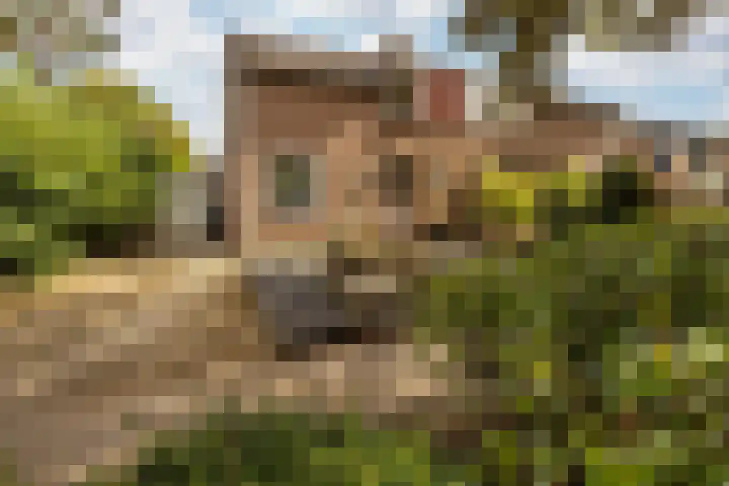 Op de Windhaspel 6 Beek thumbnail 10