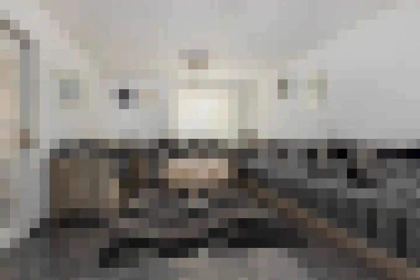 Op de Windhaspel 6 Beek thumbnail 15