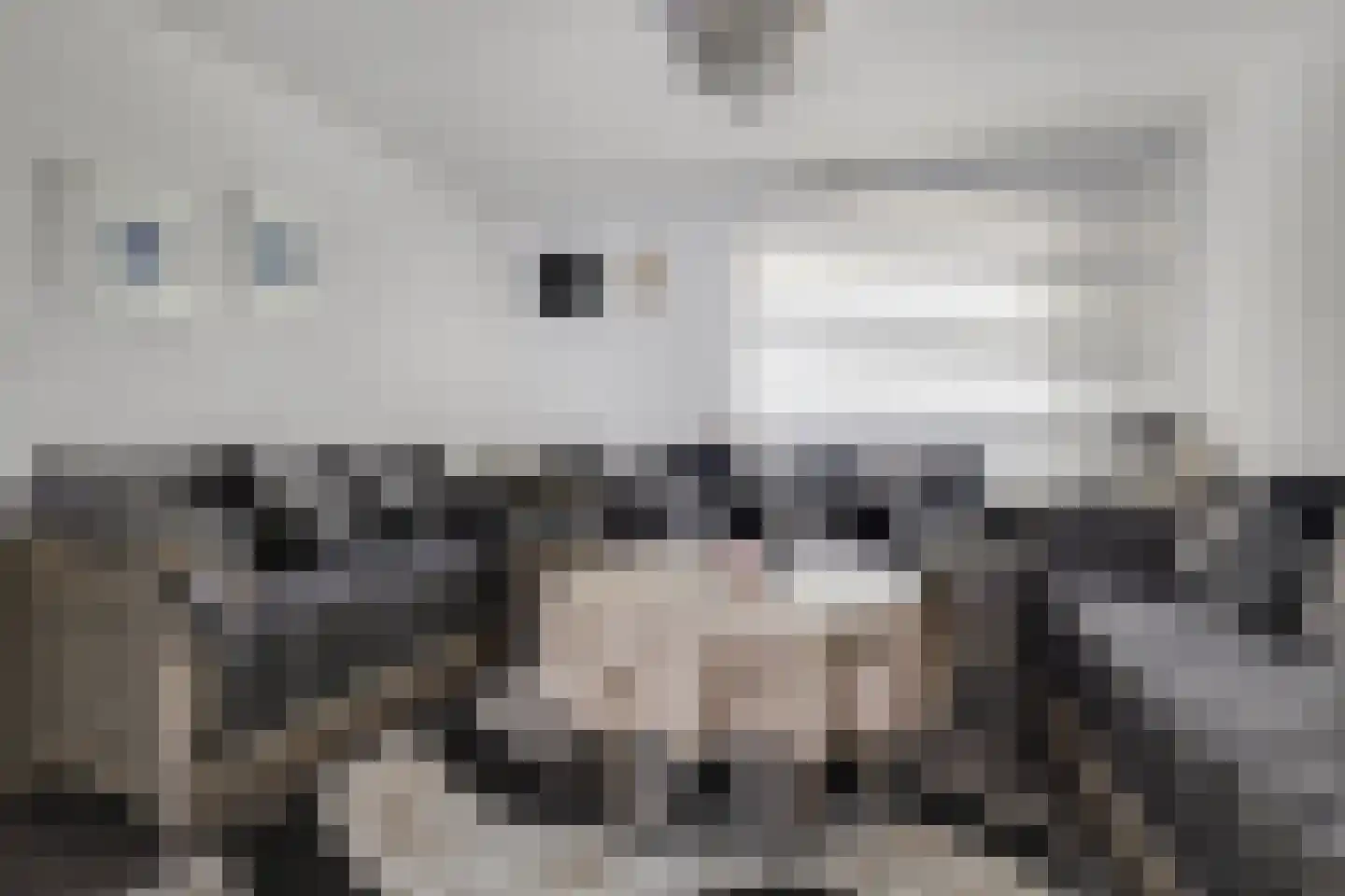 Op de Windhaspel 6 Beek thumbnail 18