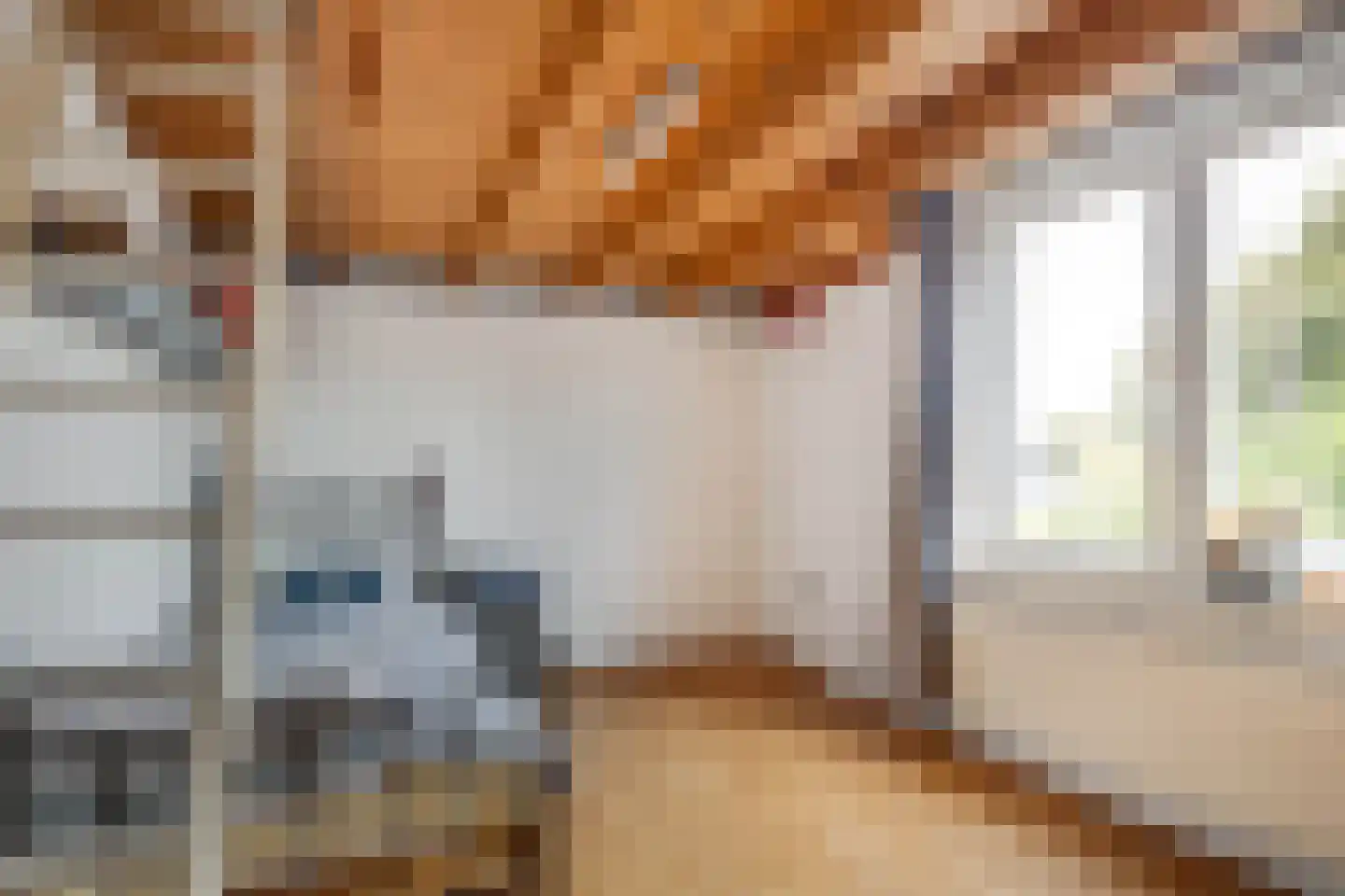 Op de Windhaspel 6 Beek thumbnail 28