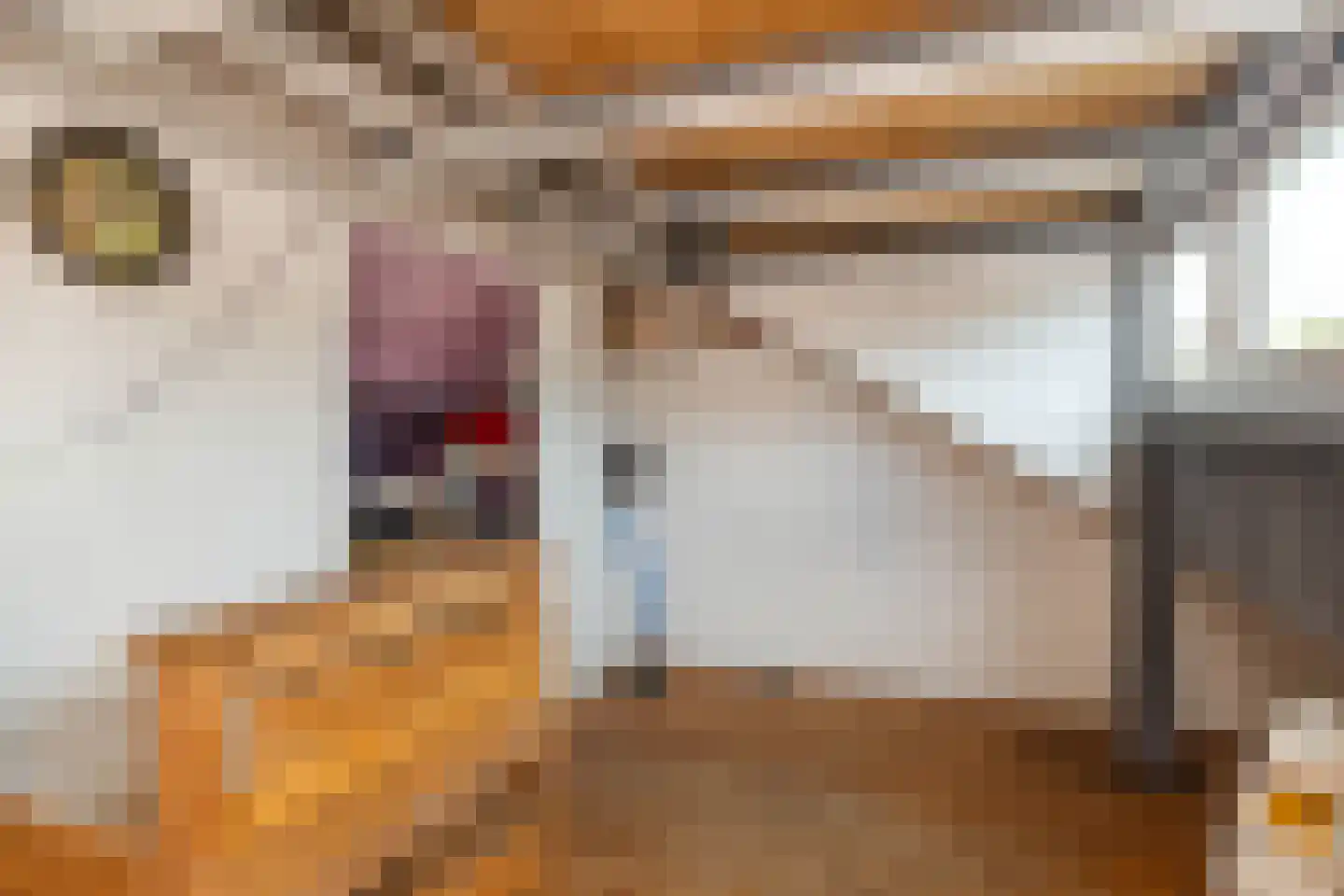 Op de Windhaspel 6 Beek thumbnail 30