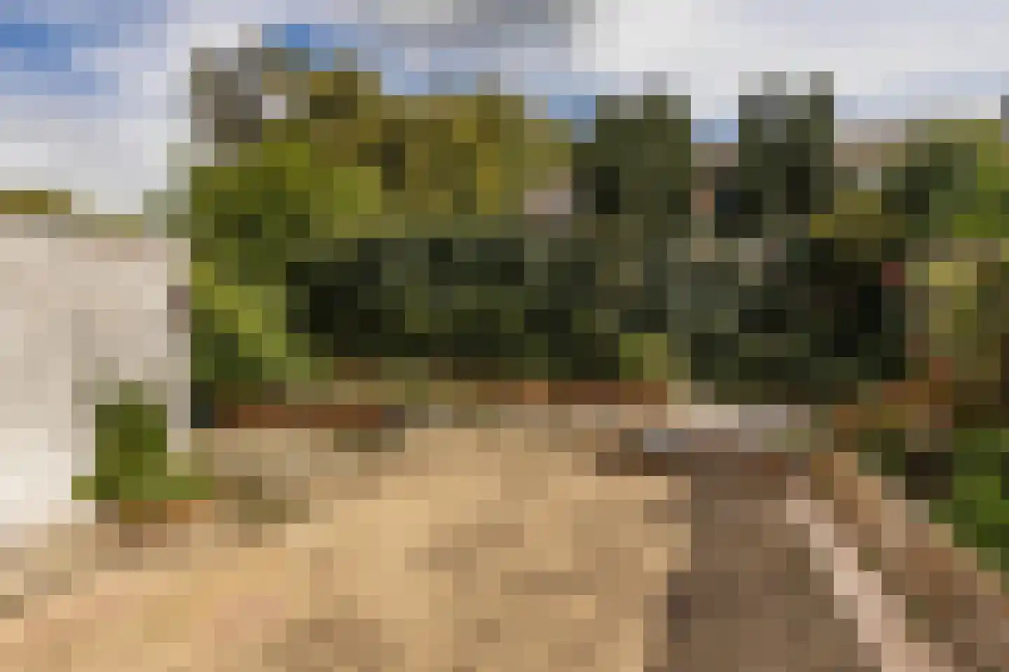Op de Windhaspel 6 Beek thumbnail 37
