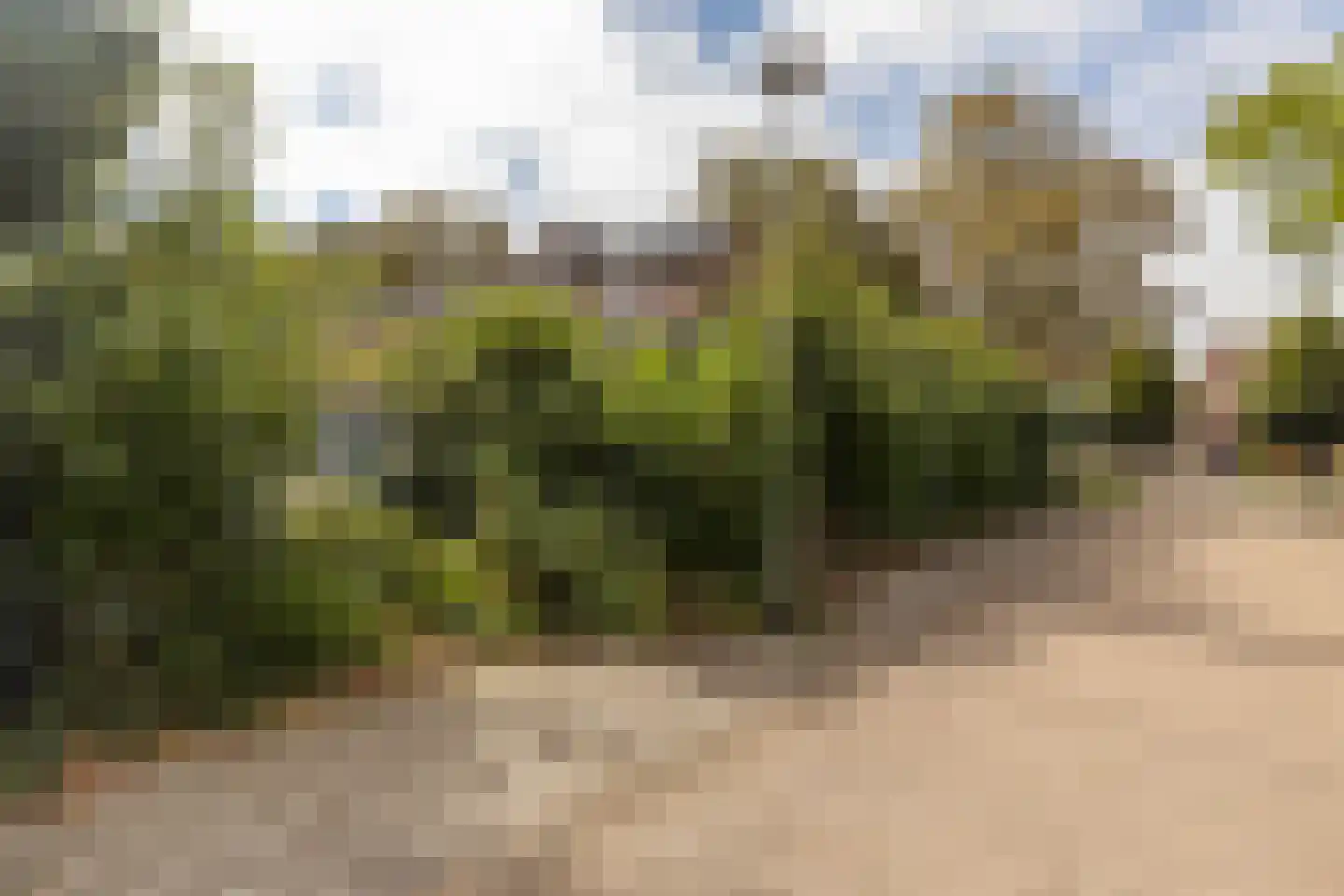 Op de Windhaspel 6 Beek thumbnail 43