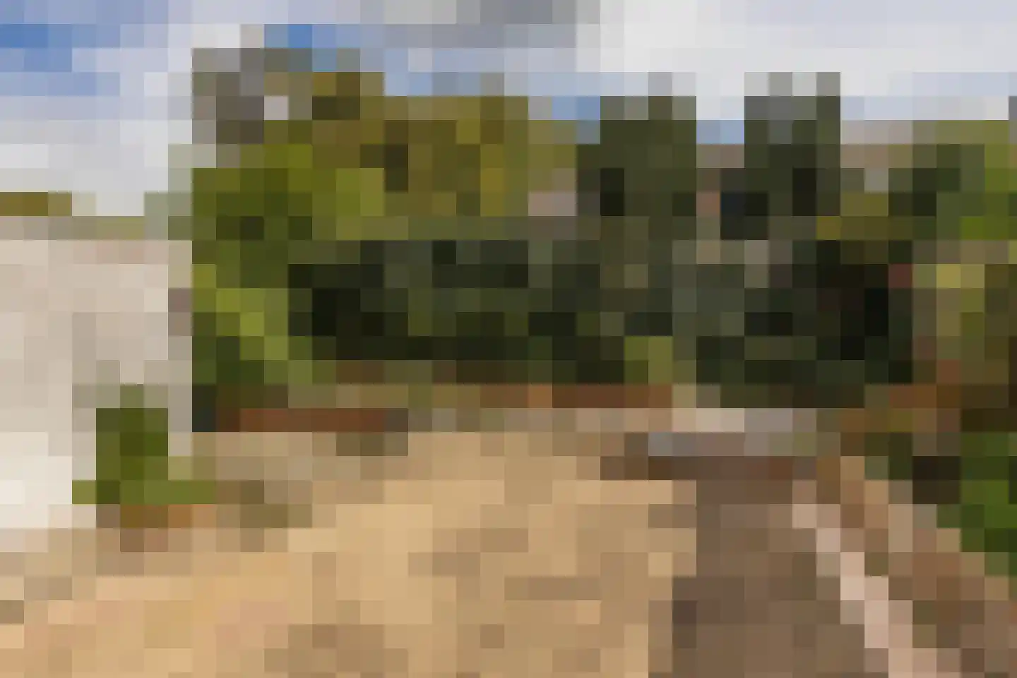 Op de Windhaspel 6 Beek thumbnail 5