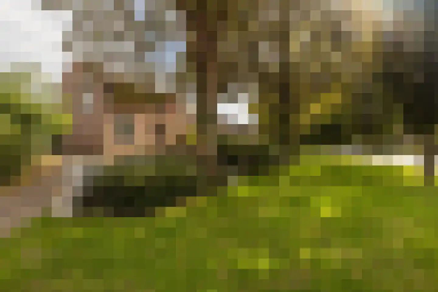 Op de Windhaspel 6 Beek thumbnail 7