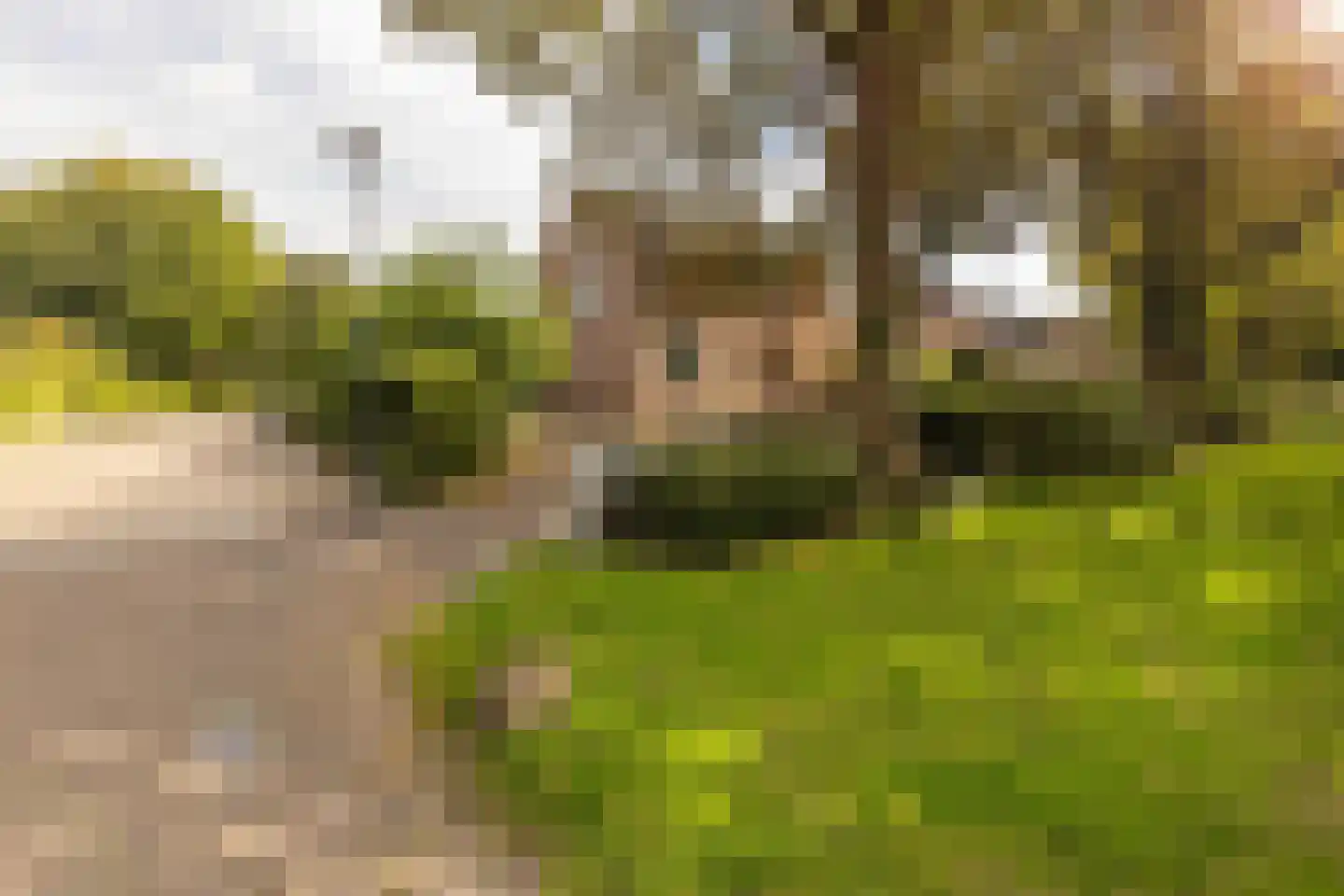 Op de Windhaspel 6 Beek thumbnail 8
