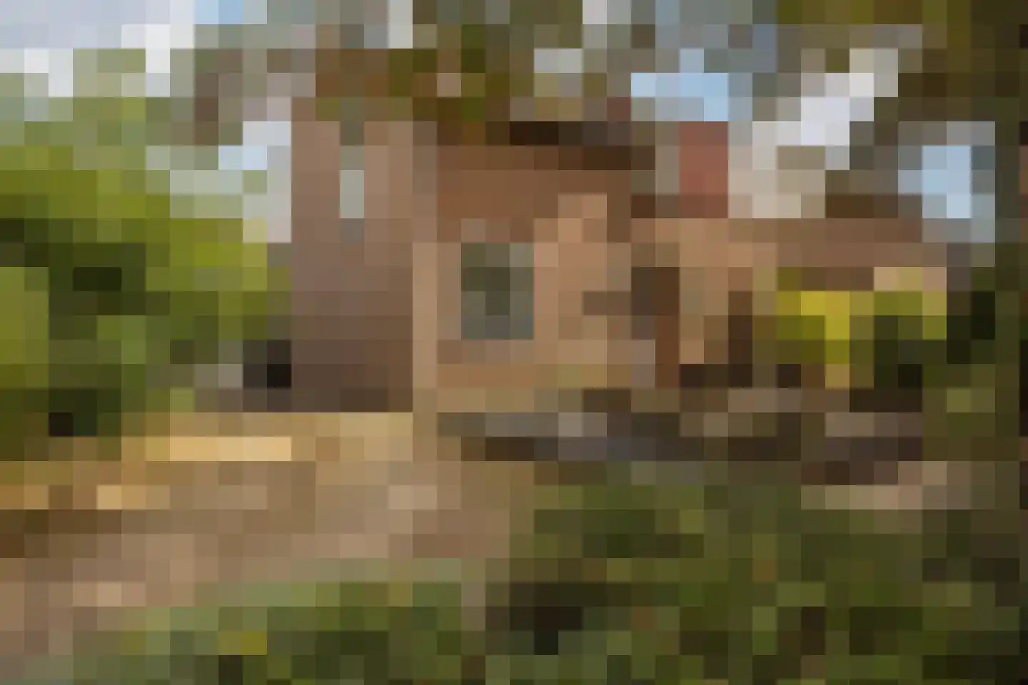 Op de Windhaspel 6 Beek thumbnail 9