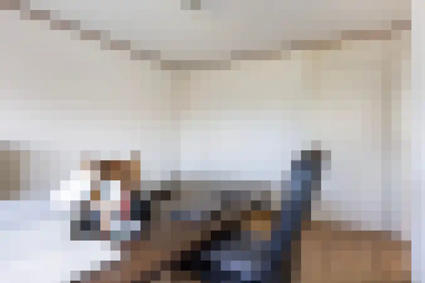 Op de Wis 1 Wellerlooi thumbnail 20