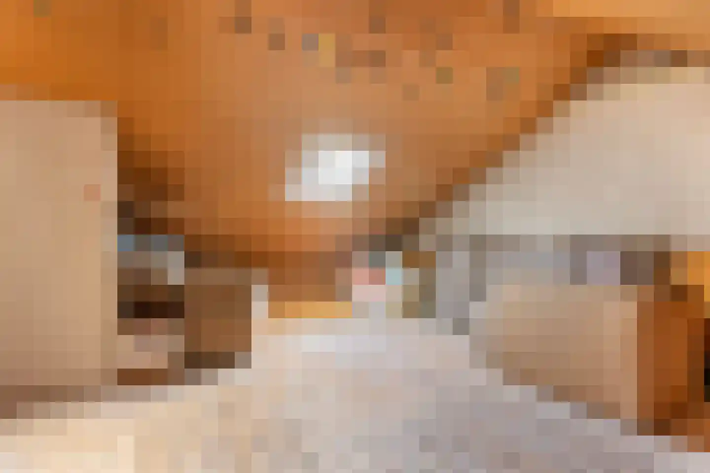 Op de Wis 1 Wellerlooi thumbnail 23